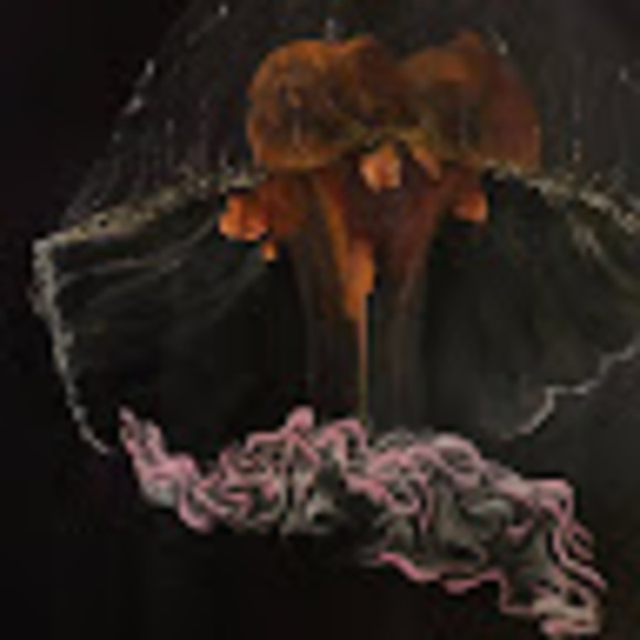 Meet your Posher, Joshua - Picture 1 of 1